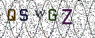Visual Confirmation Security Code